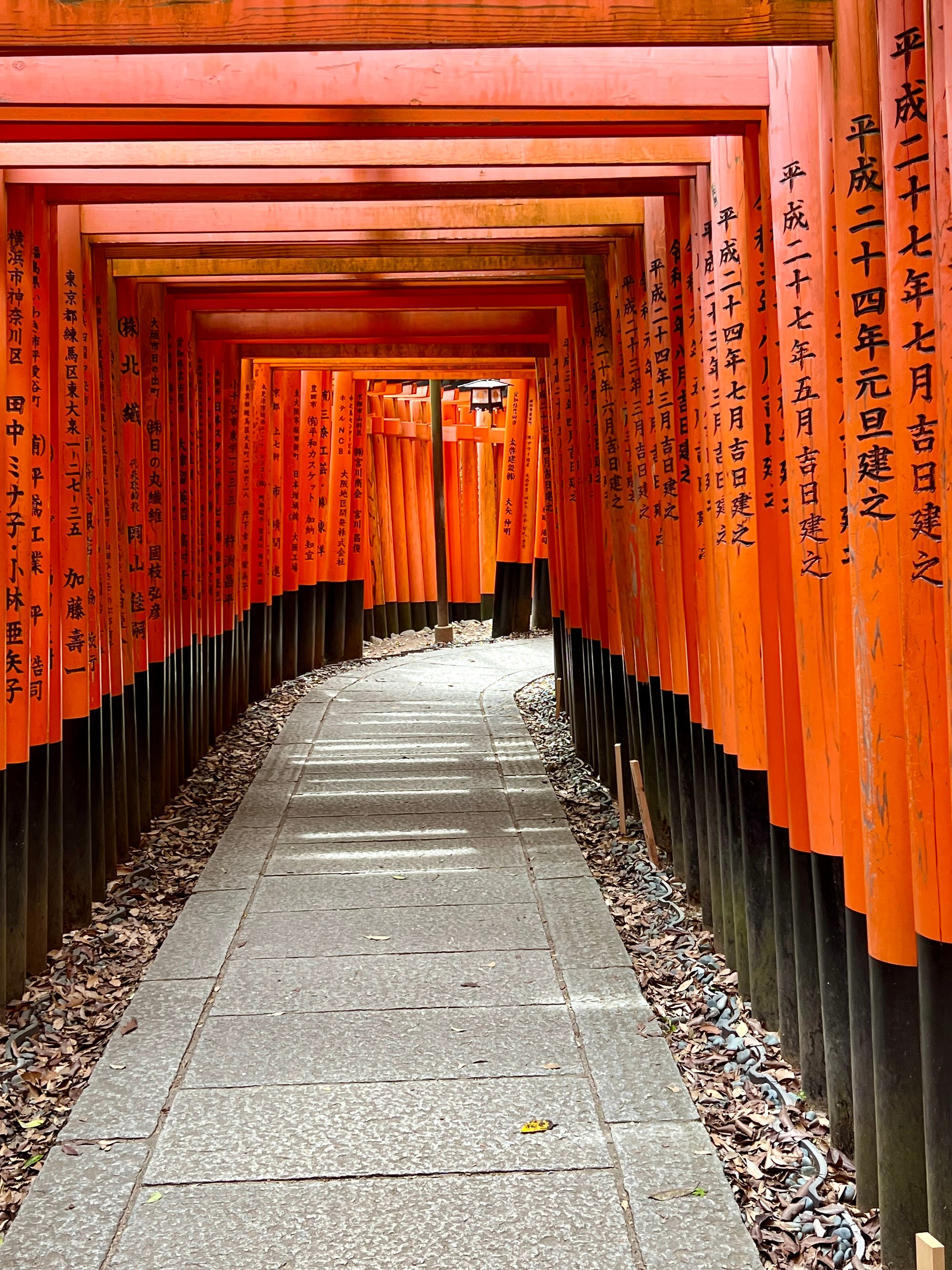 Tamiko In Tokyo | Exploring Nara & Kyoto Vol. 8