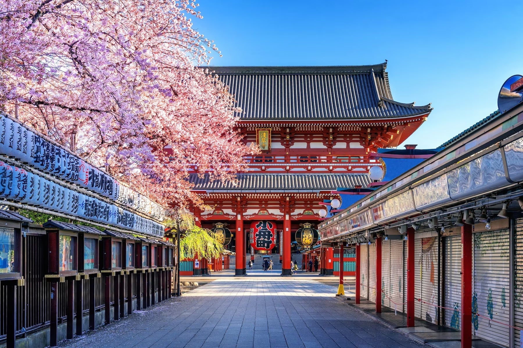 Japan Golden Triangle Explorer - 09 Days 3